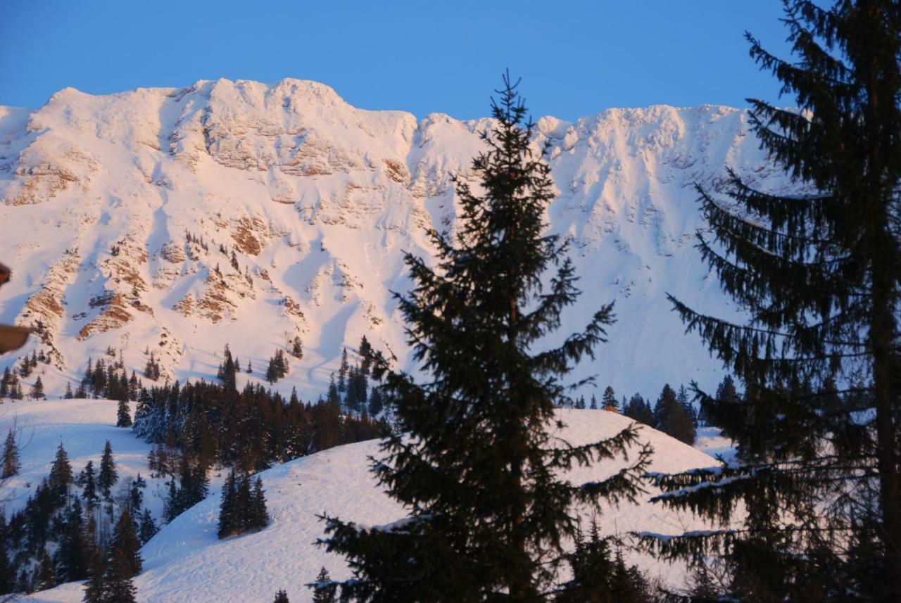 Fewo Heitmann Oberjoch Bagian luar foto